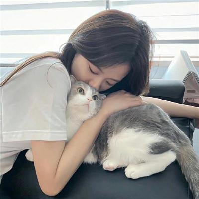 我的英雄学院第六季